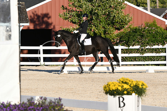 HSM_4927
