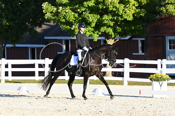 HSM_4950