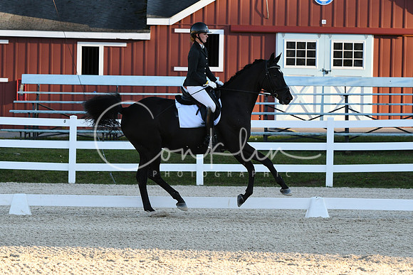 HSM_4952