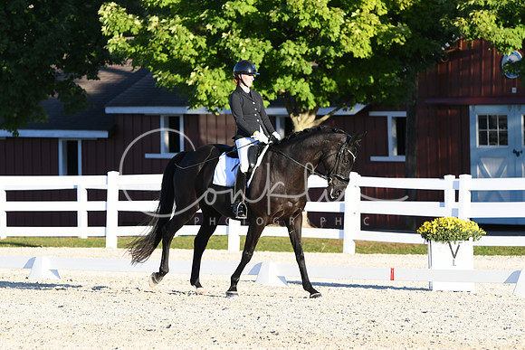 HSM_4951