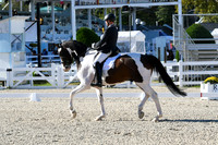 HSM_4221