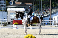 HSM_4217