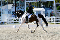 HSM_4222