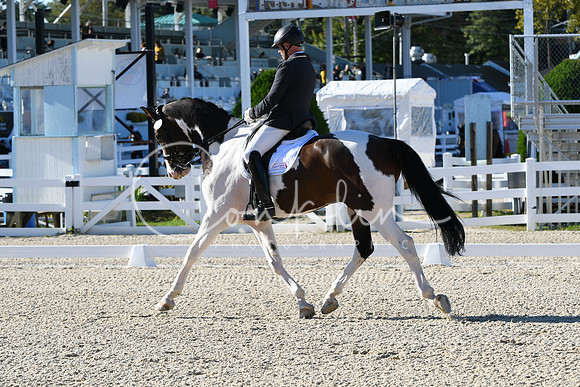 HSM_4222