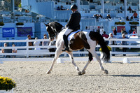 HSM_4224