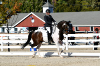 HSM_4228