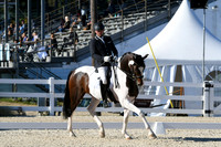 HSM_4232