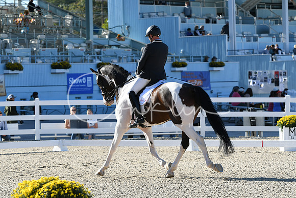HSM_4239