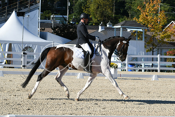 HSM_4242