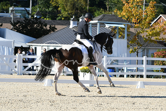 HSM_4267