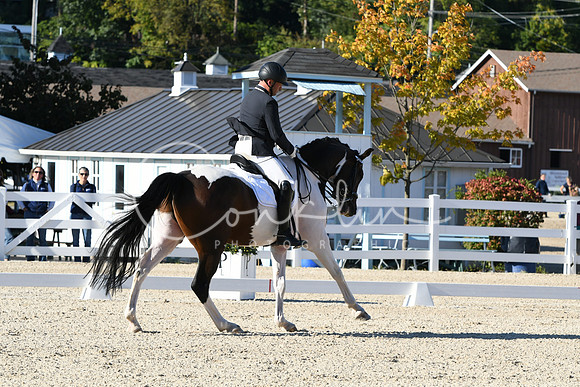 HSM_4268