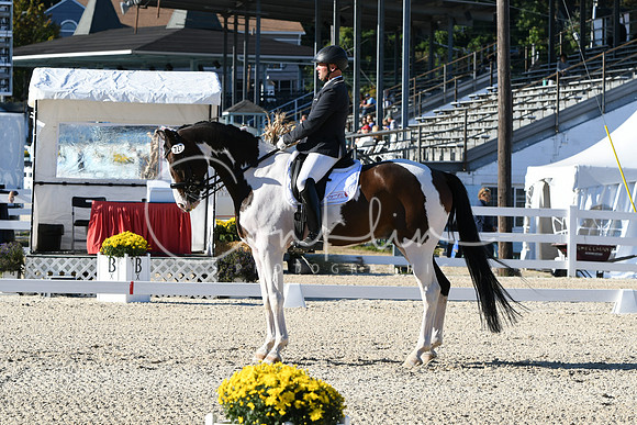 HSM_4270