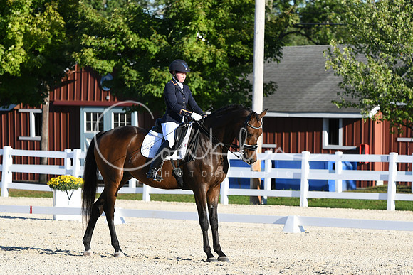 HSM_4665
