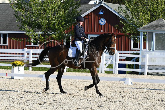 HSM_4667