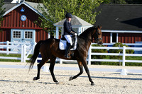 HSM_4669