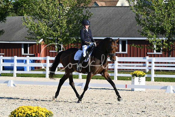 HSM_4683