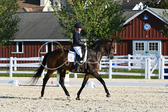 HSM_4698