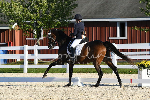 HSM_4707