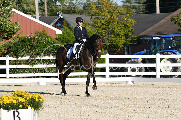 HSM_4729