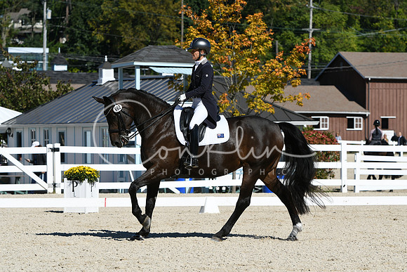 HSM_1581