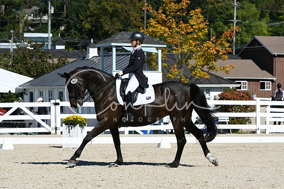HSM_1582