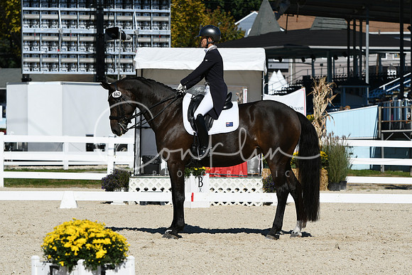 HSM_1585