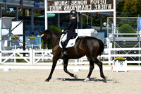 HSM_1587
