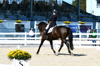 HSM_1589