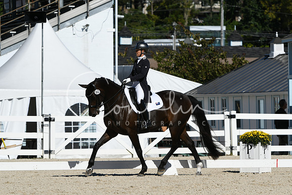 HSM_1608