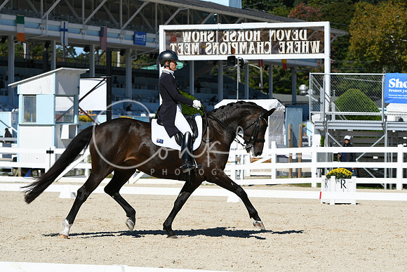 HSM_1619