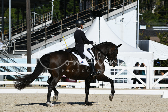 HSM_1623