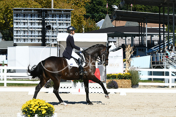 HSM_1650