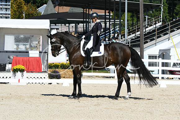 HSM_1668