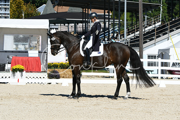HSM_1669