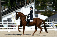 HSM_1291