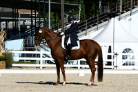 HSM_1293