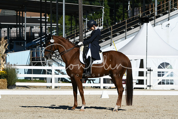 HSM_1293