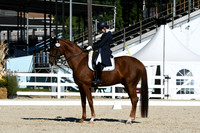 HSM_1294