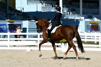 HSM_1295