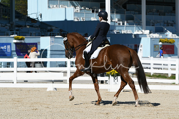 HSM_1295