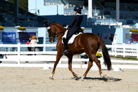 HSM_1296