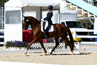 HSM_1297