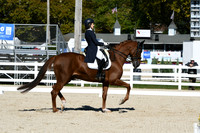 HSM_1301