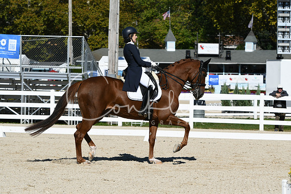 HSM_1301