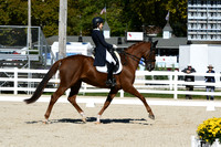 HSM_1302