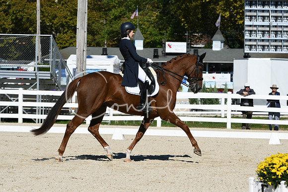 HSM_1302