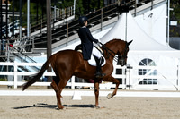 HSM_1303