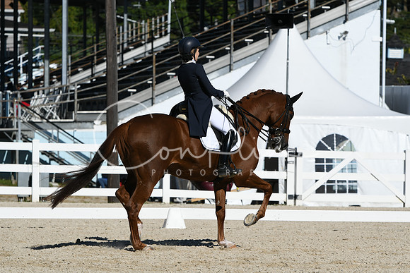 HSM_1303