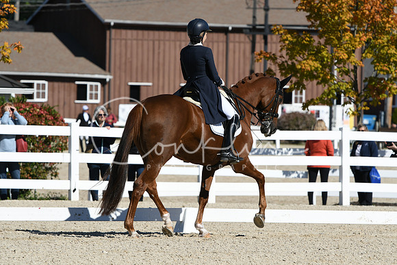 HSM_1305