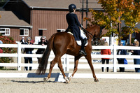 HSM_1306